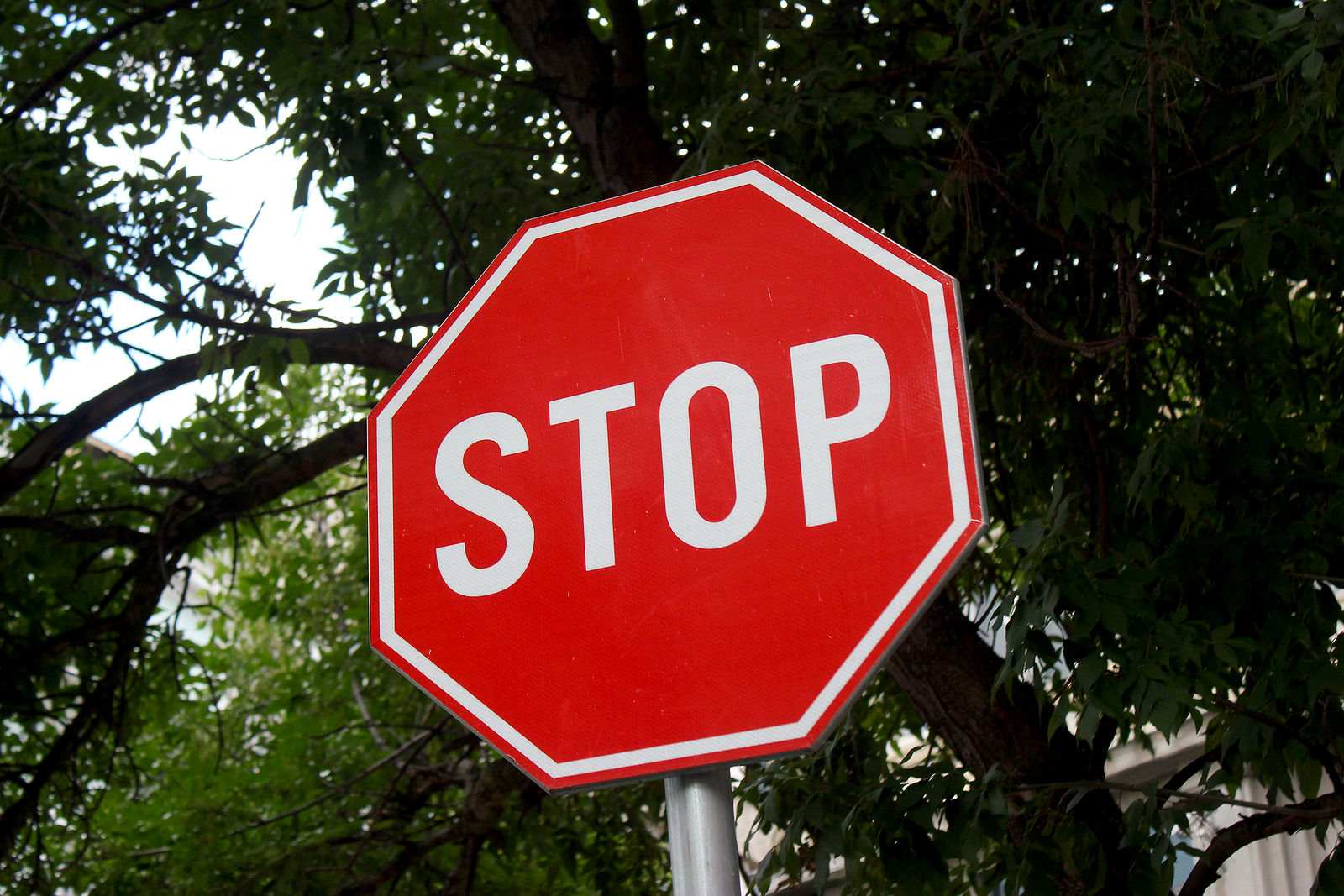 las vegas failed to stop at stop sign